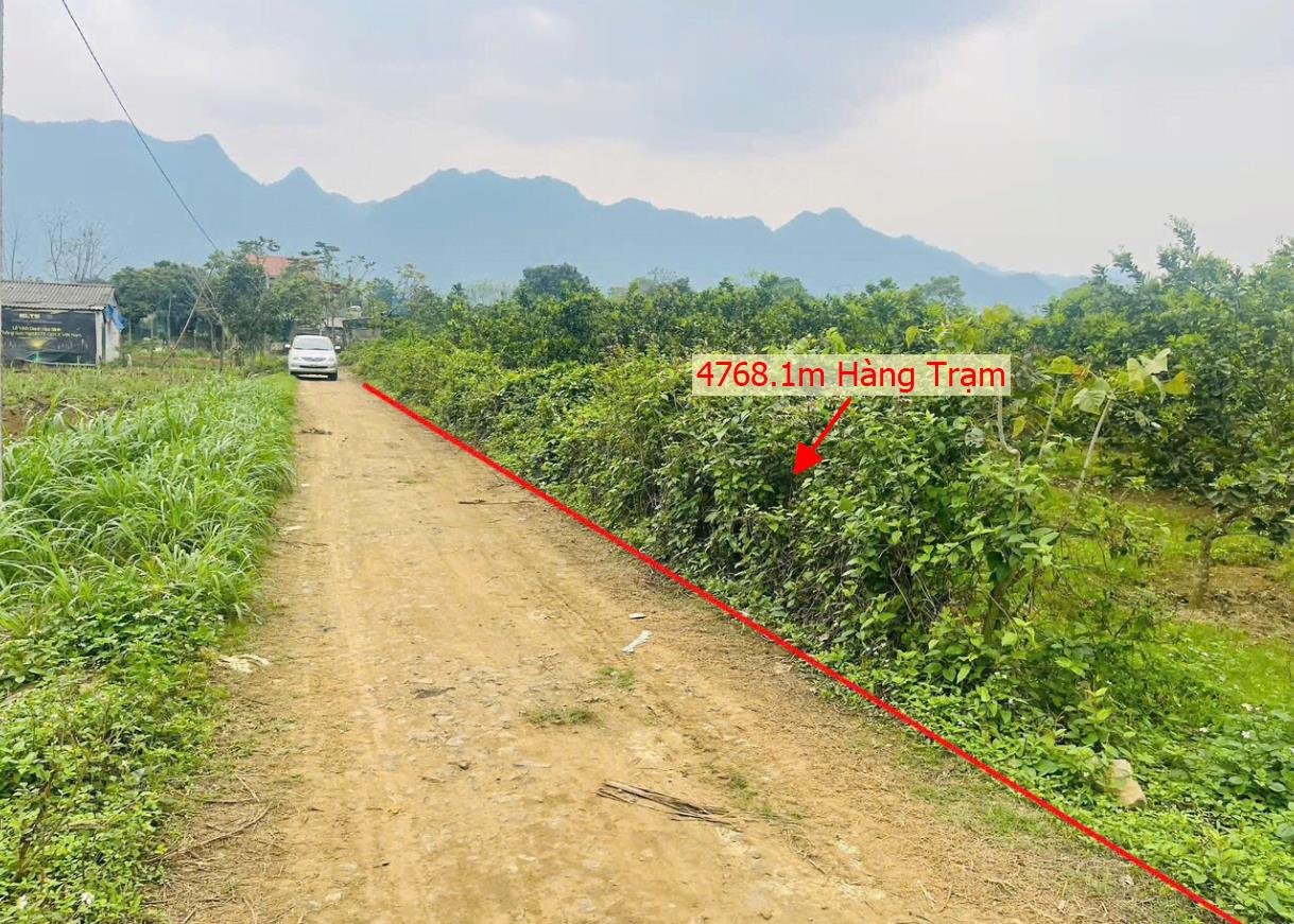 Hình ảnh Bán Lô Đất 4768.1m Tại Hàng Trạm Yên Thủy Bám Đường Bê Tông Ô Tô Vào Tận Đất Full Vườn Bưởi Phù Hợp Làm Trang Trại Giá Đầu Tư