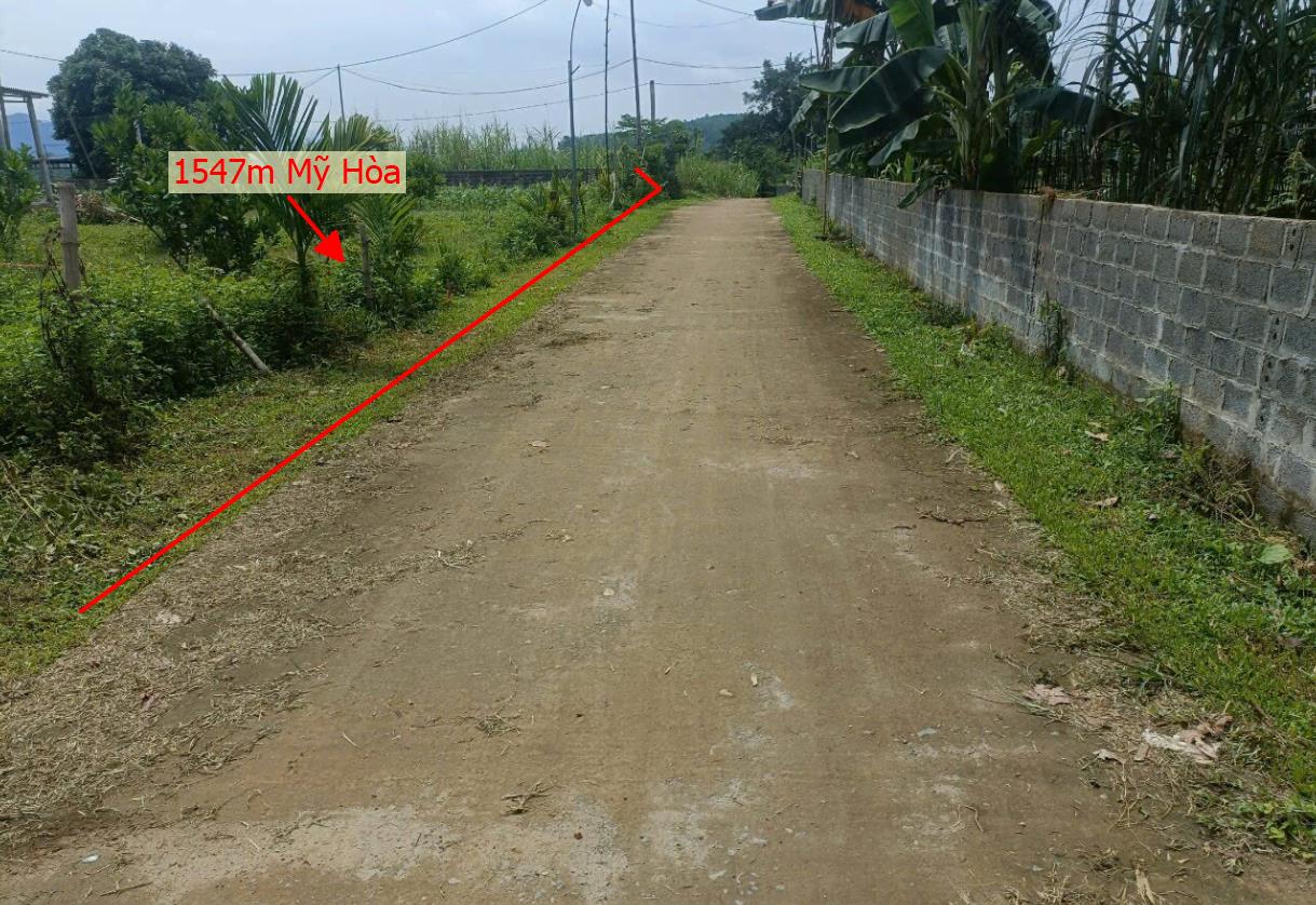 Hình ảnh Bán Lô Đất 1547m Tại Mỹ Hòa Tân Lạc Bám Đường Bê Tông Ô Tô Vào Tận Đất Dân Cư Đông Đúc PHù Hợp Làm Nghỉ Dưỡng Giá Đầu Tư