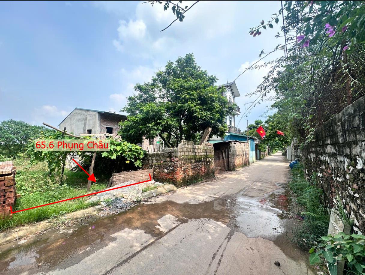 Hình ảnh Bất Động Sản Chương Mỹ Bán Đất Khu Vực Phụng Châu Đường Ô Tô Tránh Gần Trục Chính Liên Xã 