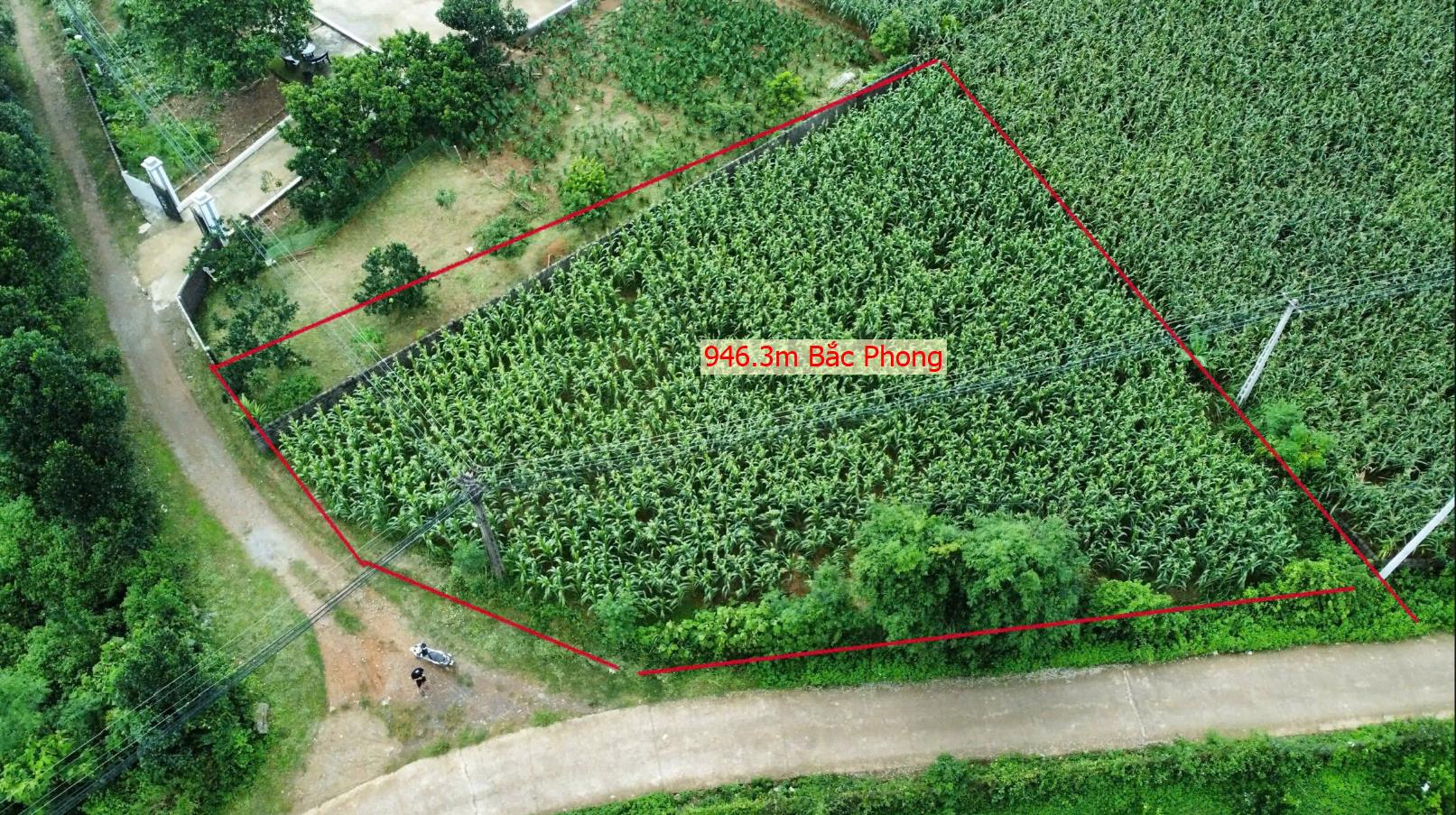 Hình ảnh Bán Lô Đất 946.3m Tại Bắc Phong Cao Phong Bám Đường Bê Tông Ô Tô Vào Tận Đất Dân Cư Đông Đúc Thân Thiện Gần Chợ Trường Học Ủy Ban Giá Đầu Tư