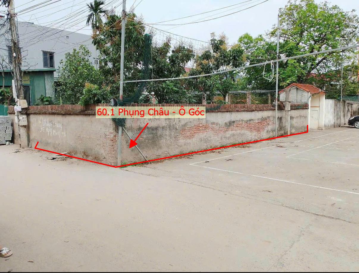 Hình ảnh Bất Động Sản Chương Mỹ Bán Đất Phân Lô Khu Vực Phụng Châu Ô Tô Đỗ Tận Đất Gần Trục Kinh Doanh Liên Xã