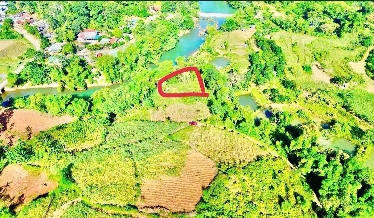 Hình ảnh Bán Lô Đất 600m Tại Tân Lạc Bám Đường Bê Tông Ô Tô Vào Tận Đất Dân Cư Đông Đúc Thân Thiện View Hồ Thoáng Mát Giá Đầu Tư