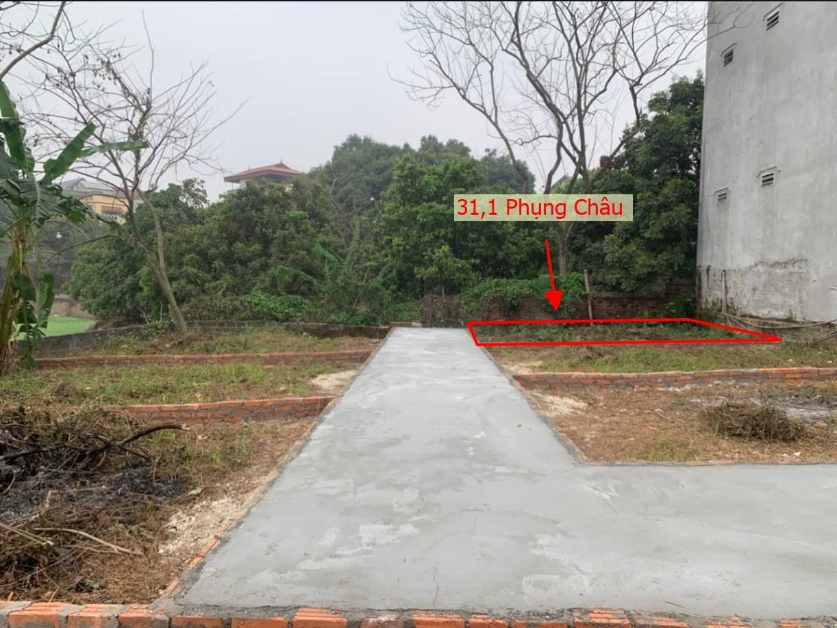 Hình ảnh Bán Đất Phân Lô Tại Phụng Châu Chương Mỹ Gần Trục Kinh Doanh Liên Huyện Giá Nhỉnh 2 Tỷ