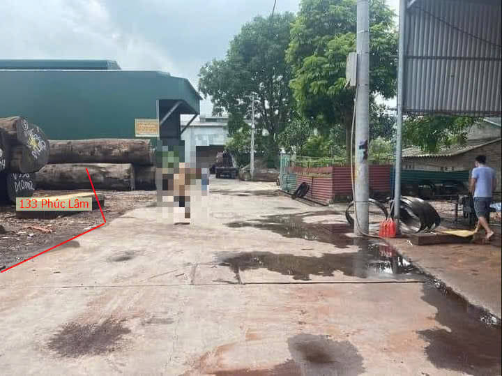 Hình ảnh Bán Đất Đấu Giá Phúc Lâm Sát Trục Kinh Doanh Ngay Gần Trung Tâm Xã (Thửa 11)