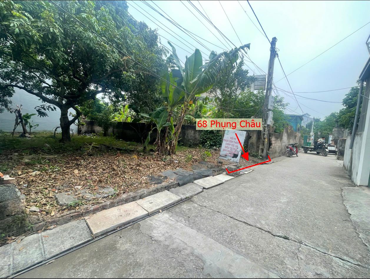 Hình ảnh Bán Đất Phụng Châu Ô Tô Vào Tận Đất Sát Mặt Đường Kinh Doanh Liên Huyện Giá Chỉ Hơn 3 Tỷ