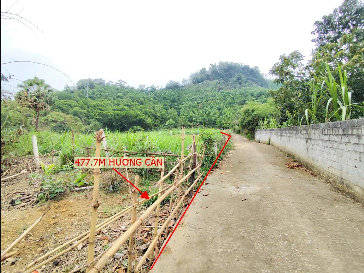 Hình ảnh Bán Lô Đất 477.7m Tại Hương cần Thanh Sơn Bám Đường Bê Tông Ô Tô Vào Tận Đất Cách Đường QL70b 100m Giá Đầu Tư