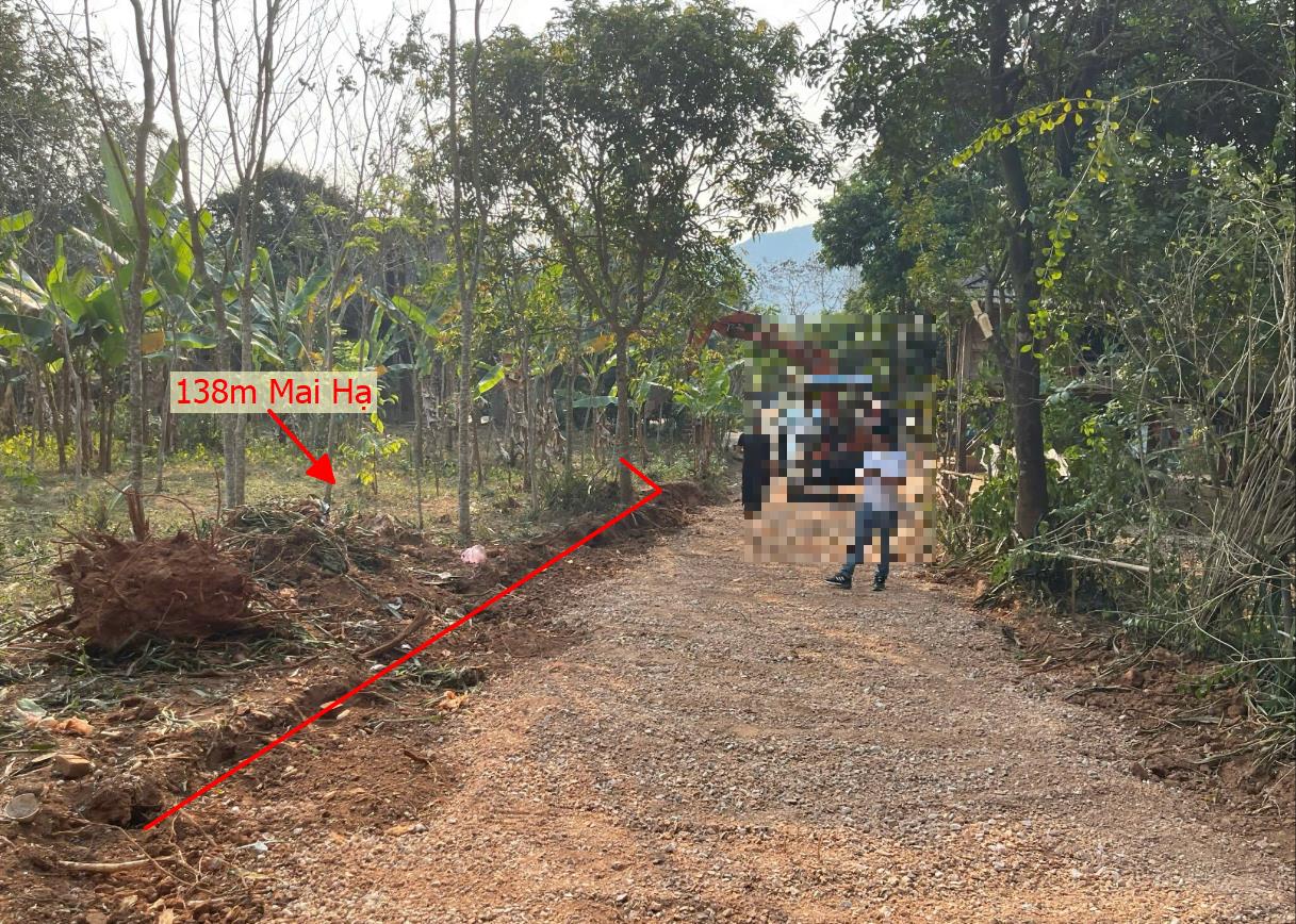 Hình ảnh Bán Lô Đất 138m Tại Mai Hạ Mai Châu Bám Đường Bê Tông Ô Tô Vào Tận Đất Dân Cư Đông Đúc Giá Đầu Tư