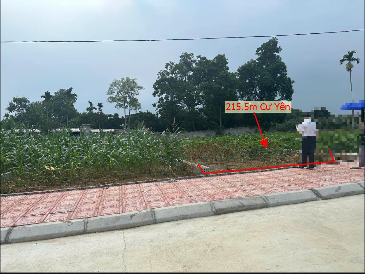Hình ảnh TK Đăng Bài Bán Lô Đất 215.5m Tại Cư Yên Lương Sơn Bám Đường Bê Tông Ô Tô Vào Tận Đất Dân Cư Đông Đúc Cách Ql12b 1.5km View Thoáng Mát Giá Đầu