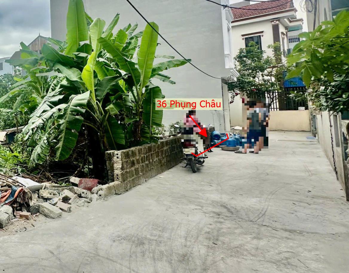Hình ảnh Bán Đất Phụng Châu 2 Mặt Ngõ Sát Trục Kinh Doanh Liên Huyện Ngay Gần Trung Tâm Xã Phụng Châu 