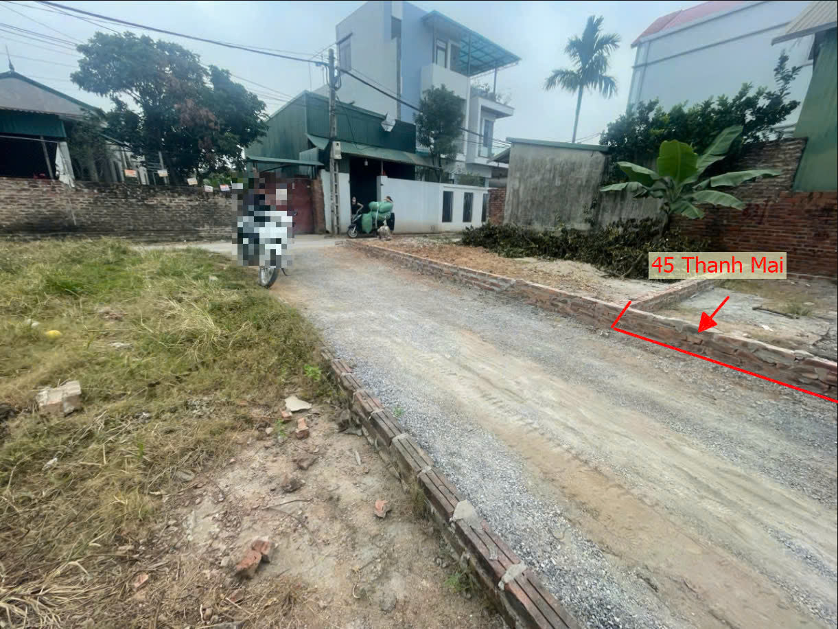 Hình ảnh Bán Đất Thanh Mai Ô Tô Đỗ Tận Đất Sát Trục Chính Thôn | Đất Phân Lô Thanh Mai Thanh Oai 