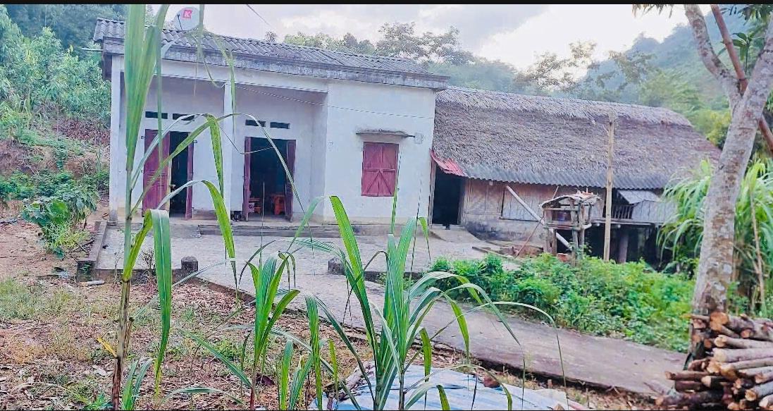 Hình ảnh Bán Lô Đất 6891m Tại Thu Cúc Tân Sơn Bám Đường Bê Tông Ô ô Vào Tận Đất Sẵn Nhà Cấp 4 Dân Cư Đông Gần Chợ Trường Học Ủy Ban Giá Đầu Tư