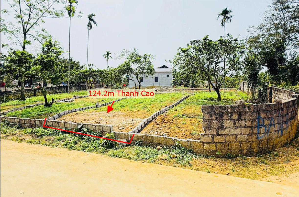 Hình ảnh Bán Lô Đất 124.2m Tại Thanh Cao Lương Sơn Bám Đường Bê Tông Ô Tô Vào Tận Đất Dân Cư Đông Đúc View Thoáng Mát Gần Chợ Trường Học Ủy Ban Giá Đầu Tư
