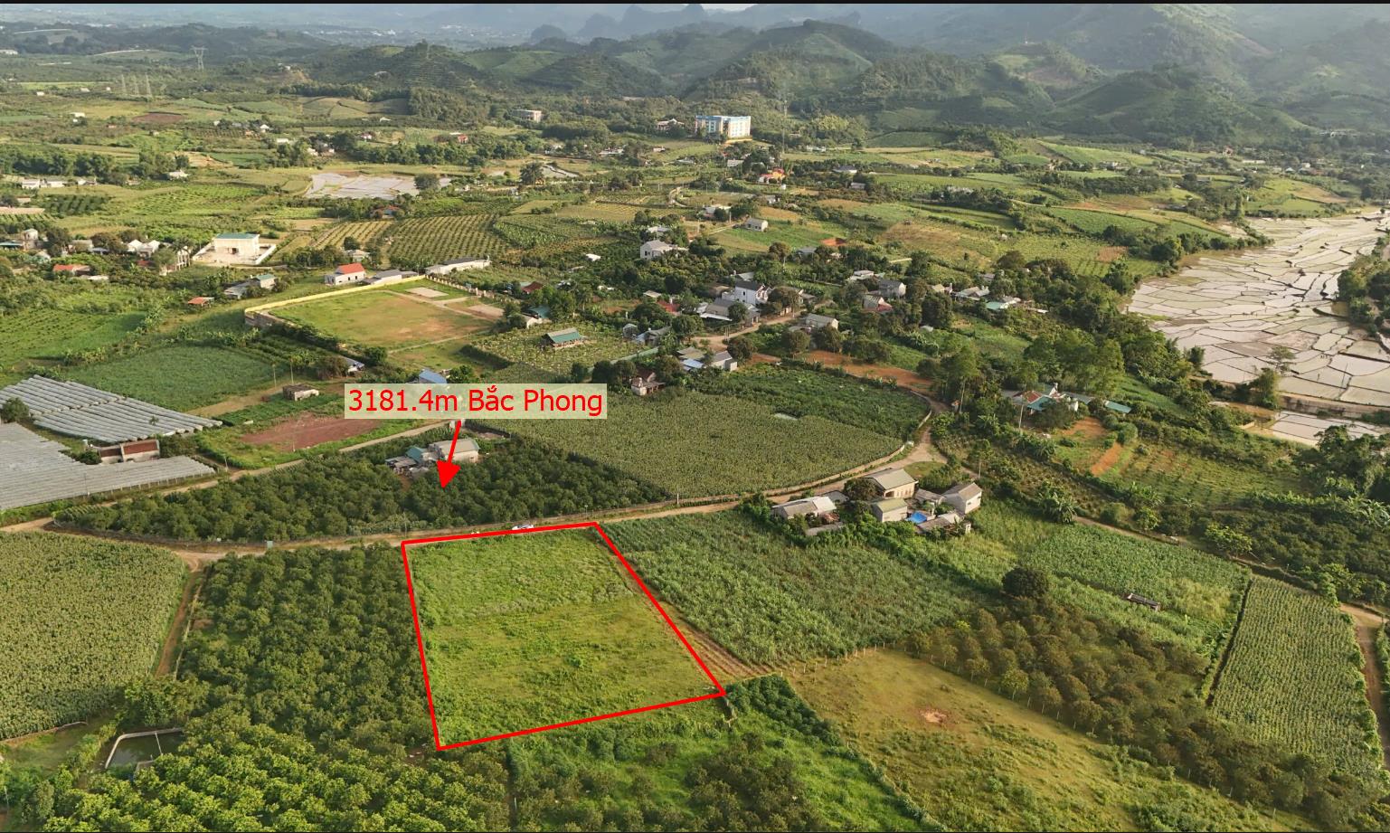 Hình ảnh Bán Lô Đất 3181.4m Tại Bắc Phong Cao Phong Bám Đường Bê Tông Ô Tô Vào Tận Đất Dân Cư Đông Đúc  View Thoáng Mát Giá Đầu Tư