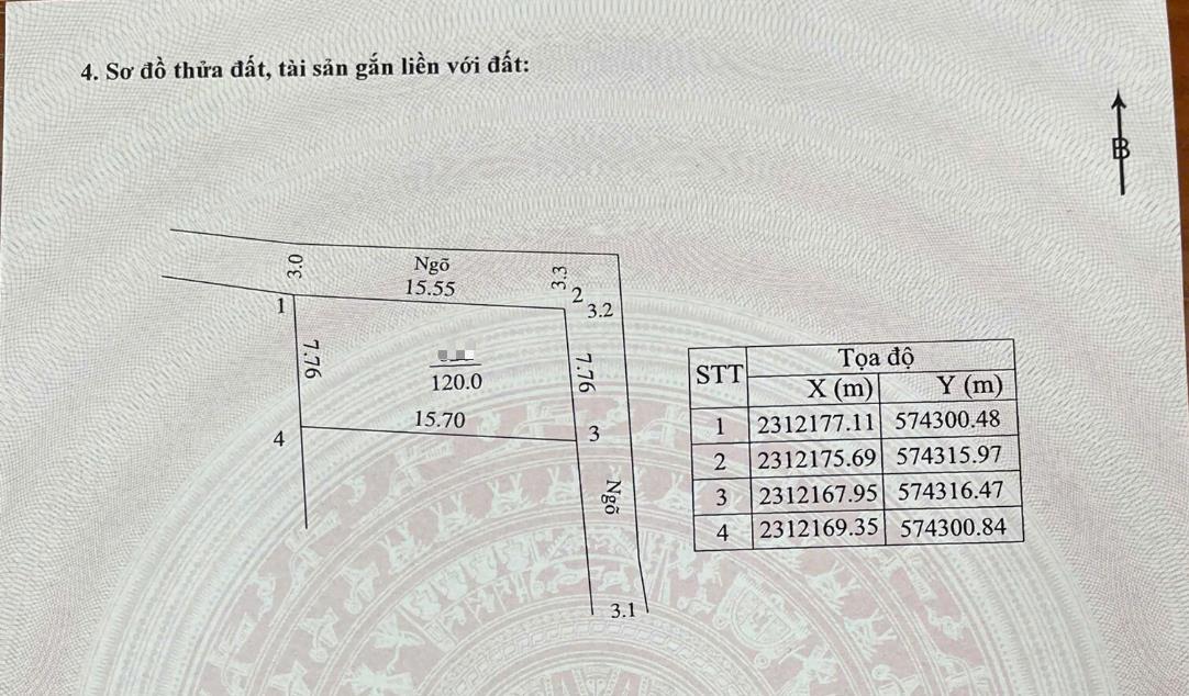 Hình ảnh Bán Lô Góc 2 Mặt Thoáng Full Thổ Cư 120m Tại Thụy Hương Gần Trục Kinh Doanh Giá Chỉ Vài Tỷ