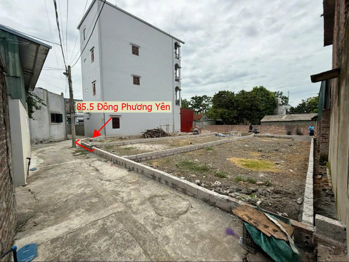 Hình ảnh Đất Phân Lô Xã Đông Phương Yên Sát Trục Kinh Doanh Gần QL6A Đang Triển Khai Mở Rộng 