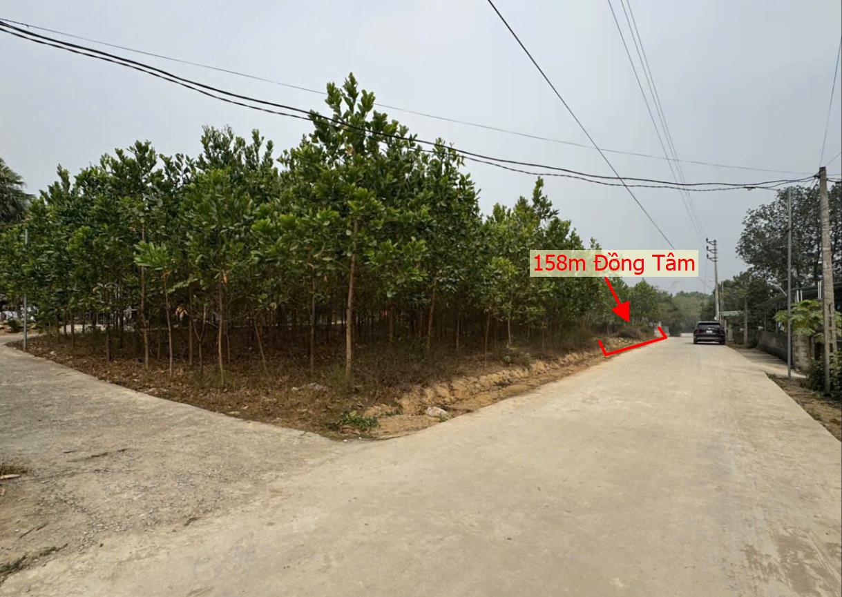 Hình ảnh Bán Lô Đất 158m Tại Đồng Tâm Lạc Thủy Bám Đường Bê Tông Ô Tô Vào Tận Đất Dân Cư Đông Cách Ql21 400m Gần Chợ Buôn Bán Sầm Uất Giá Đầu Tư
