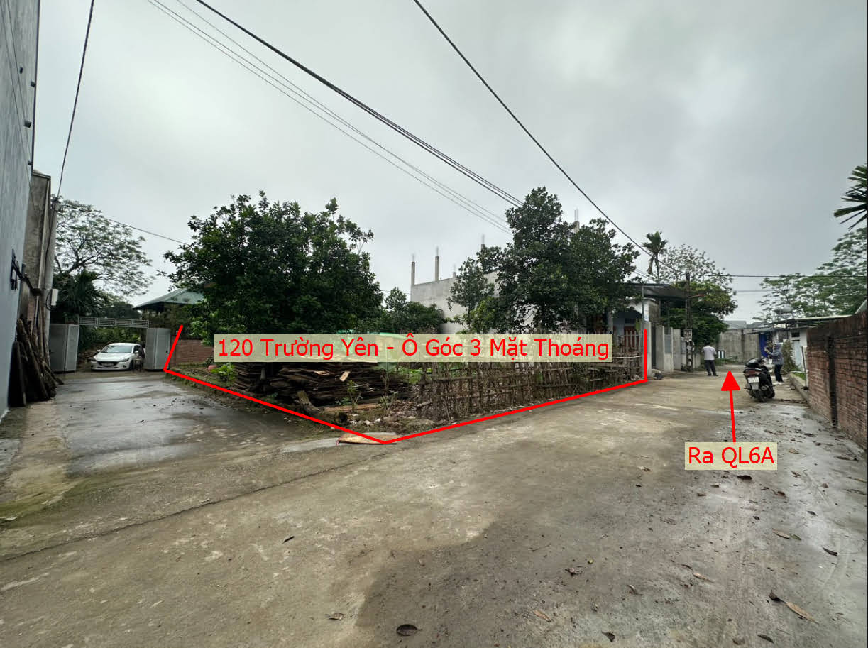 Hình ảnh Bán Lô Góc 3 Mặt Thoáng Ô Tô Vào Tận Đất Ngay Sát Trục Kinh Doanh Tại Trường Yên