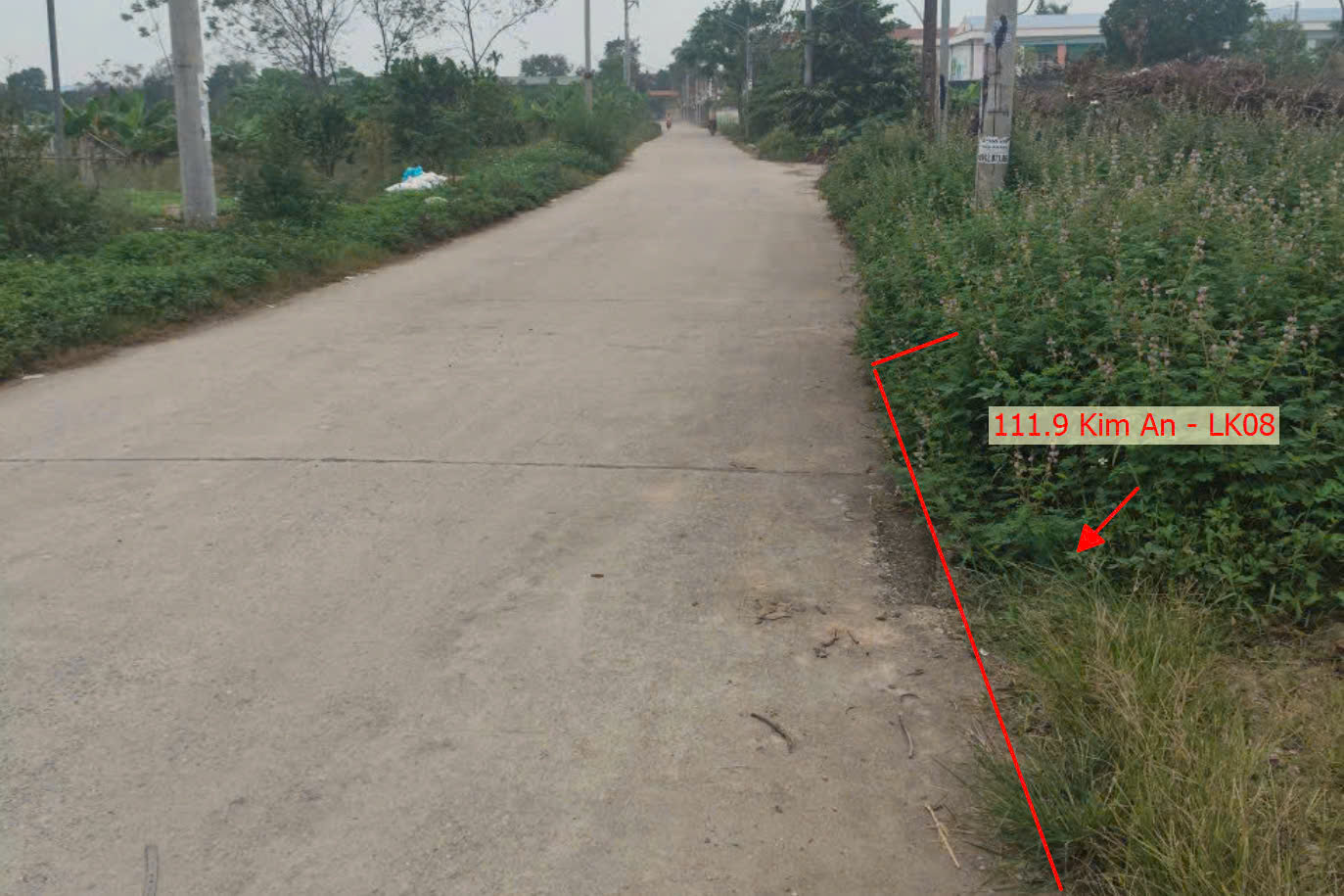 Hình ảnh Bán Đất Đấu Giá Kim An Bám Mặt Đường Kinh Doanh Liên Xã Ngay Trung Tâm Hành Chính Xã Kim An 