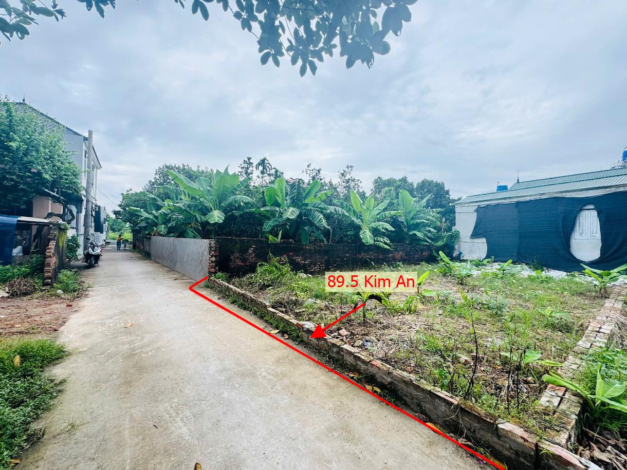 Hình ảnh Bán Thửa Đất 89.5m Tại Kim An Ô Tô Đỗ Tận Đất Sát Trục Chính Kinh Doanh Liên Xã