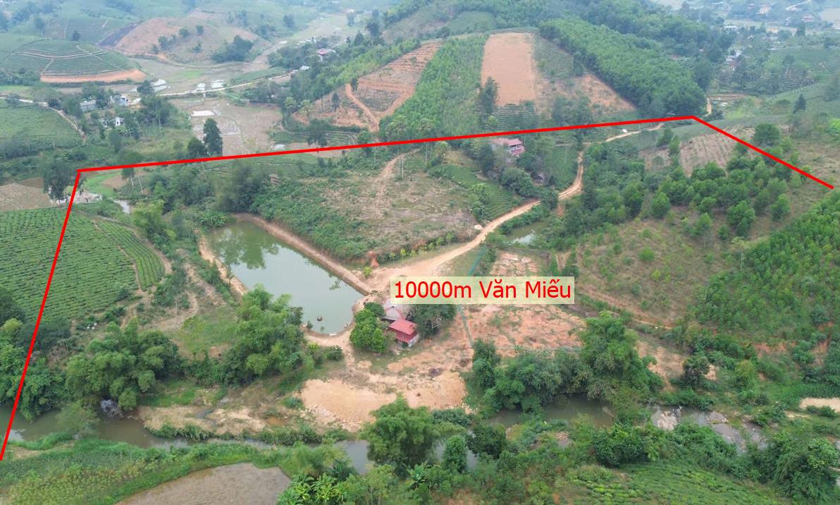 Hình ảnh Bán Lô Đất Nghỉ Dưỡng 10000m Tại Văn Miếu Bám Đường Bê Tông Ô Tô vào Tận Đất Dân Cư Đông Đúc View Thoáng Mát Giá Đầu Tư