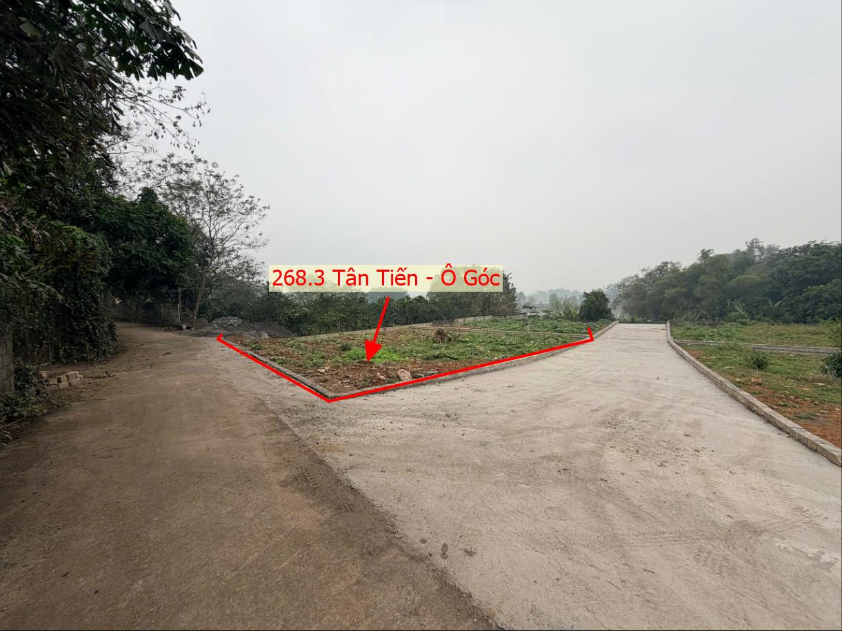 Hình ảnh Bán Đất Phân Lô Tân Tiến Ô Tô Đỗ Tận Đất Ngay Sát Trục Chính Kinh Doanh Liên Xã 