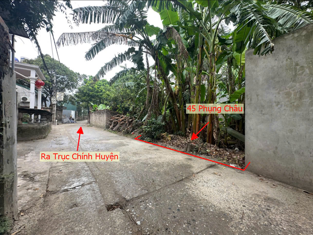 Hình ảnh Bán Đất Phụng Châu Trục Chính Thôn Phượng Đồng Gần Mặt Đường Kinh Doanh Liên Huyện