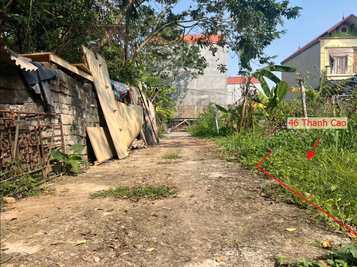 Hình ảnh Bán Đất Thanh Cao Gần Trục Kinh Doanh Liên Xã Ngay Trung Tâm Xã Thanh Cao Giá Nhỉnh Tỷ