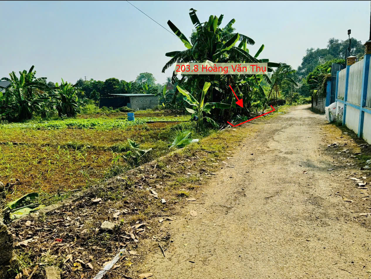 Hình ảnh Bán Đất Hoàng Văn Thụ Ô Tô Đỗ Tận Đất Ngay Gần Mặt Đường Kinh Doanh QL21A Giá Nhỉnh Tỷ 