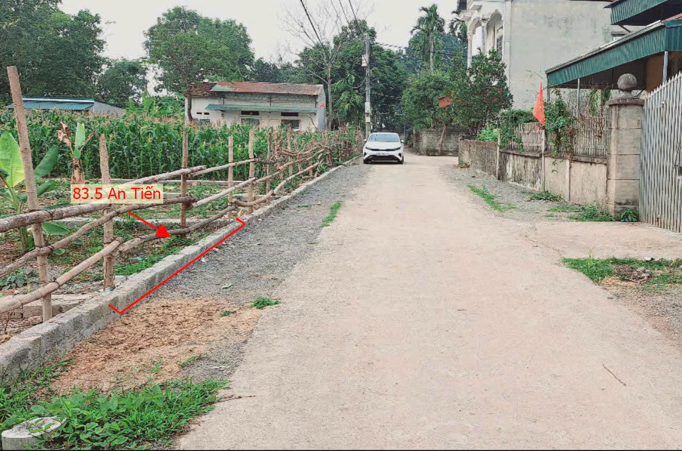 Hình ảnh Bán Đất Phân Lô 83.5M2 Tại Xã An Tiến Mỹ Đức Ô Tô Đỗ Tận Đất Ngay Gần Trục Chính Kinh Doanh