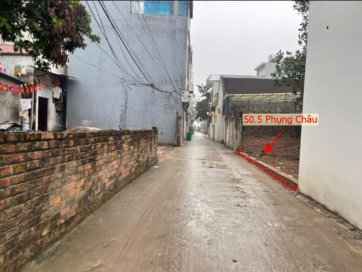 Hình ảnh Bán Đất Phụng Châu Ngay Trung Tâm Xã Phụng Châu Sát Trục Chính Kinh Doanh Liên Huyện 