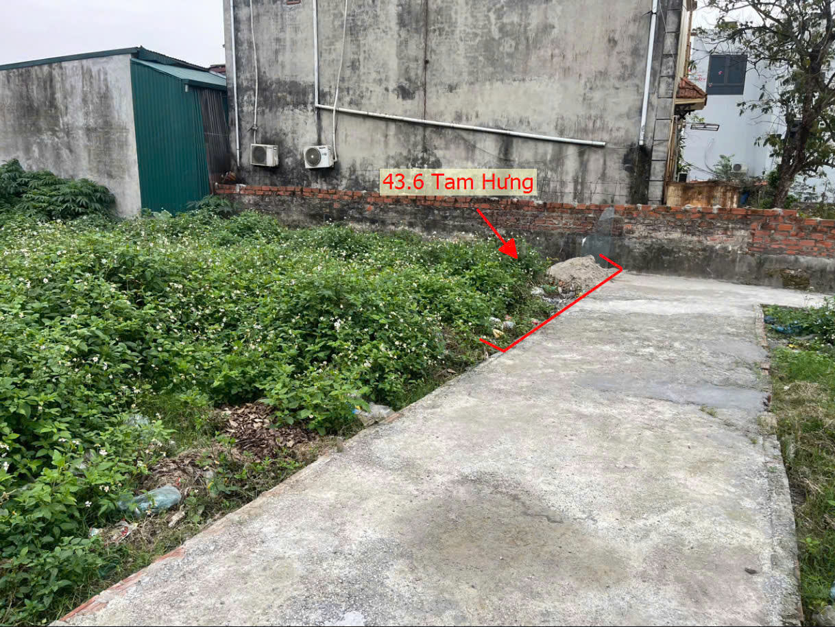 Hình ảnh Bán Thửa Đất 43.6m Tại Tam Hưng Thanh Oai Ngay Sát Trục Chính Kinh Doanh Liên Xã Giá Nhỉnh 2 Tỷ 