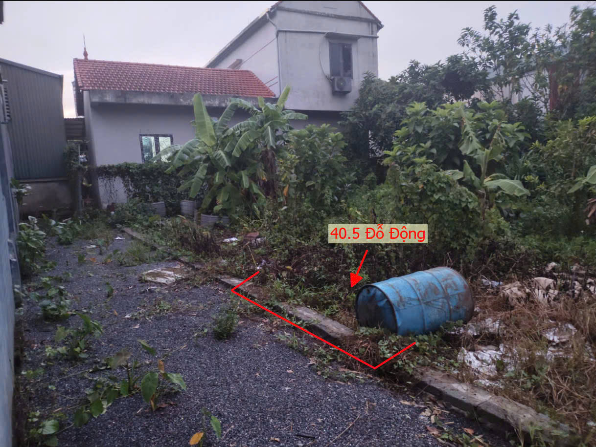 Hình ảnh Bán Đất Đỗ Động Sát Trục Chính Liên Xã | Đất Phân Lô Đỗ Động Thanh Oai 