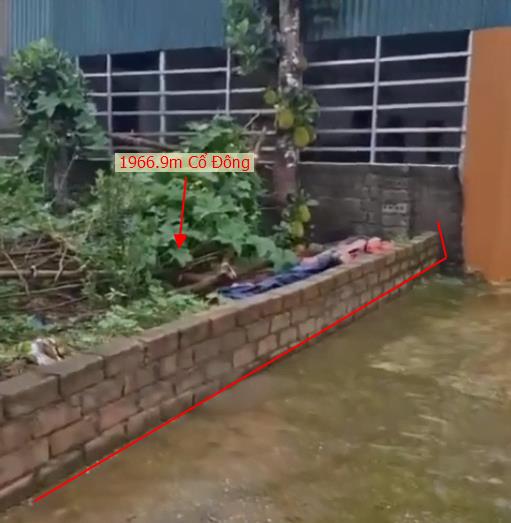 Hình ảnh Bán Lô Đất 1966.9m Tại Cổ Đông Sơn Tây Bám Đường Bê Tông Ô Tô Vào Tận Đất Dân Cư Đông Đúc Phù Hợp Phân Lô Gần Chợ Trường Học Ủy Ban 