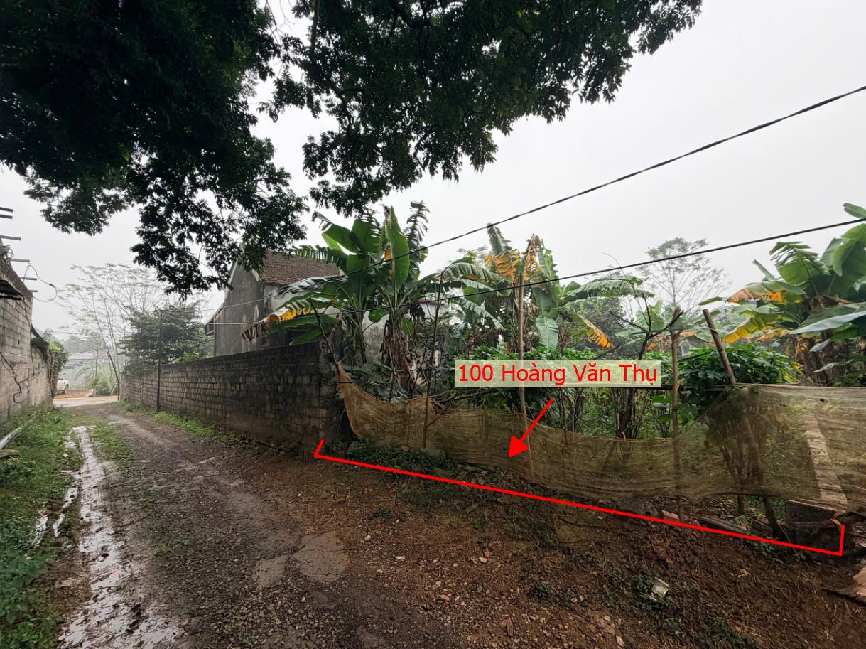 Hình ảnh Bán Đất Full Thổ Cư Ô Tô Vào Tận Đất Sát Trục Kinh Doanh Tại Hoàng Văn Thụ Giá Nhỉnh Tỷ