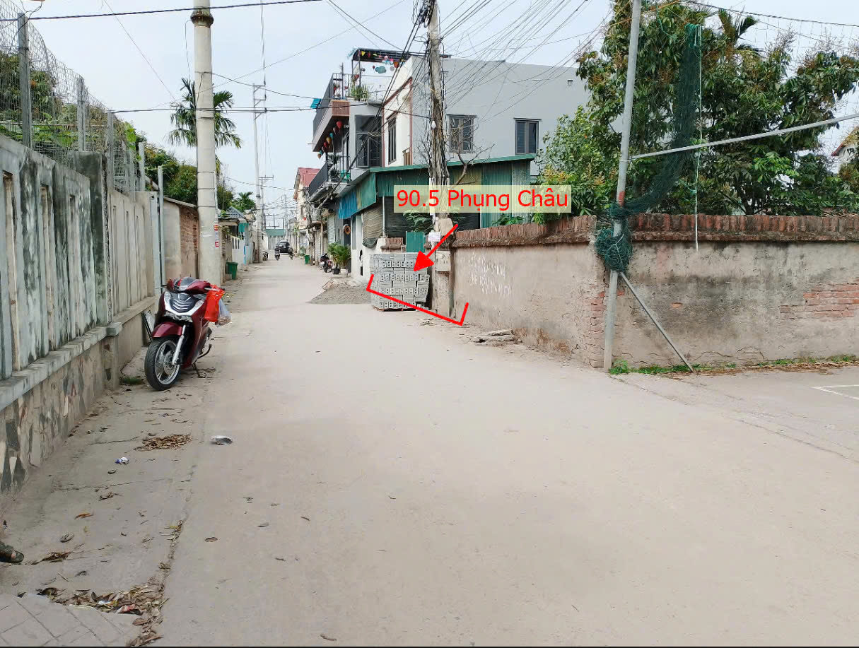 Hình ảnh Đất Phân Lô 90.5m Tại Phụng Châu Chương Mỹ Ô Tô Đỗ Tận Đất Gần Trục Chính Liên Huyện 