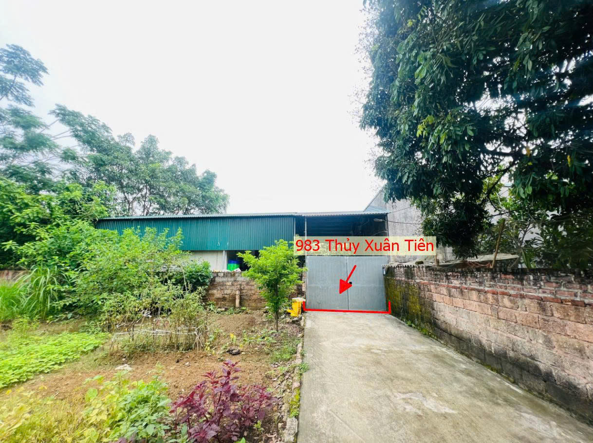 Hình ảnh Bán Thửa Đất 983m Tại Thủy Xuân Tiên Chương Mỹ Sát Trục Kinh Doanh Liên Xã Gần QL21A 