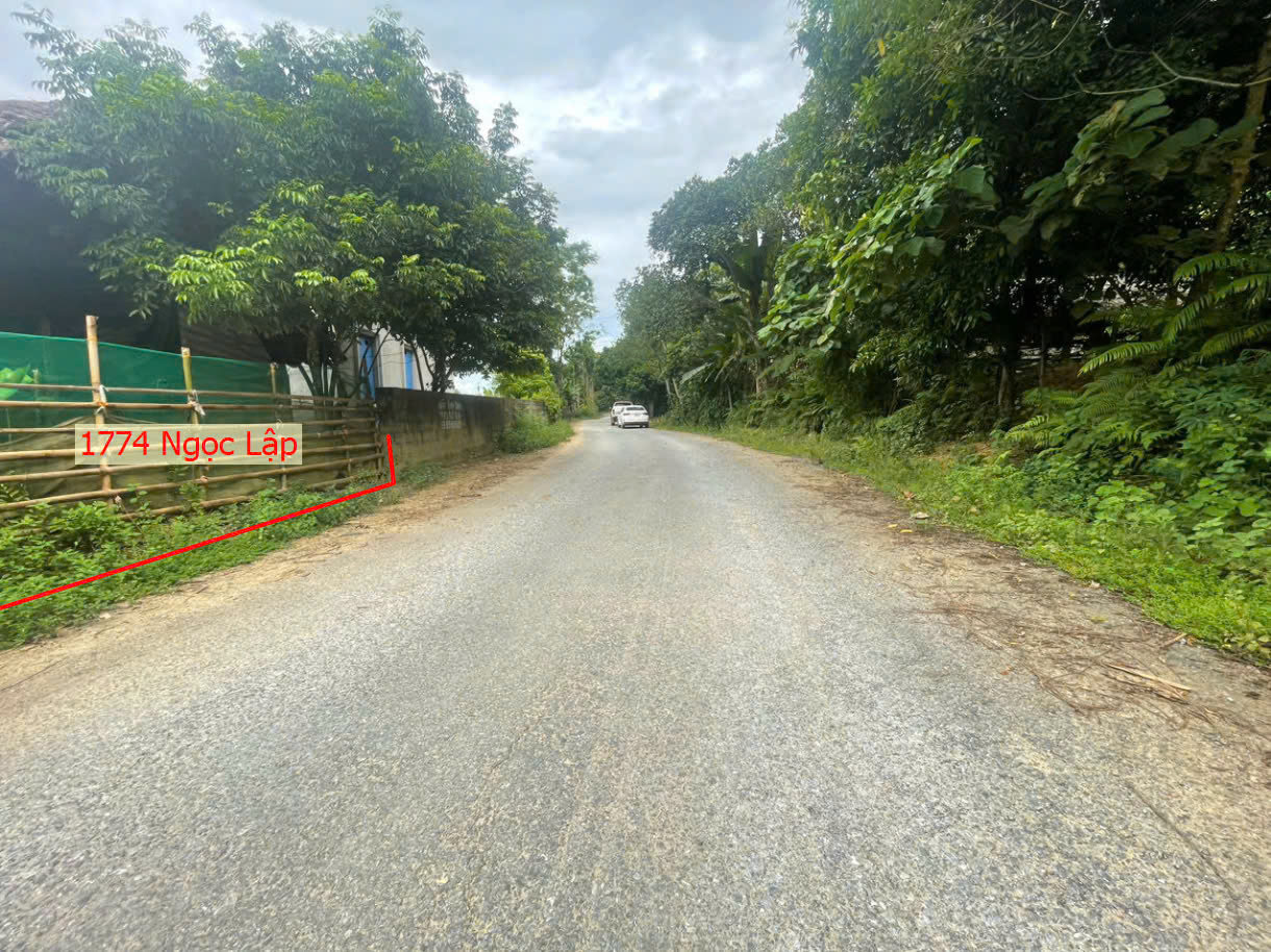 Hình ảnh Bán Đất Ngọc Lập Mặt Đường Kinh Doanh Ngay Gần QL7B Giá Chỉ Vài Trăm Triệu 