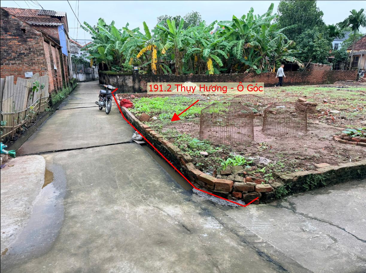 Hình ảnh Bán Lô Góc 3 Mặt Thoáng 191.2m Tại Thụy Hương Gần Trục Đường Kinh Doanh Liên Xã Đê Hữu Đáy