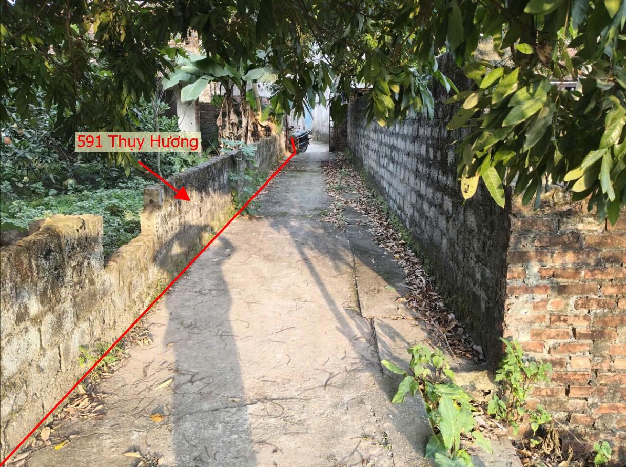 Hình ảnh Bán Thửa Đất 591m Tại Thụy Hương Gần Trục Chính Kinh Doanh Liên Xã Giá Chỉ Vài Tỷ