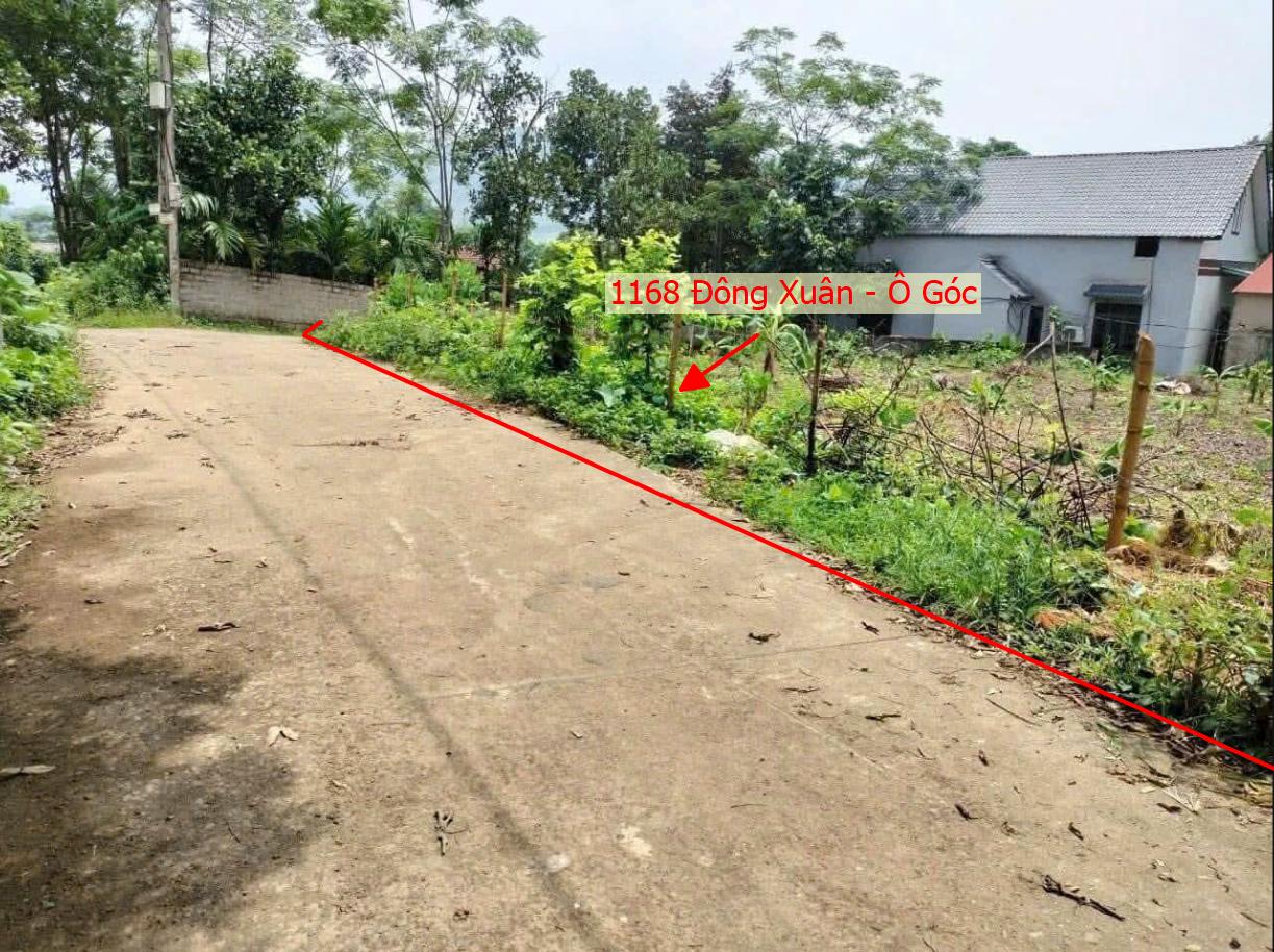 Hình ảnh Bán Lô Góc 2 Mặt Tiền 1168m Tại Đông Xuân Ô Tô Đỗ Tận Đất Gần Trục Chính Kinh Doanh