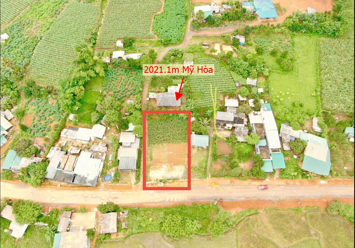 Hình ảnh Bán Lô Đất 2021.1m Tại Mỹ Hòa Tân Lạc Bám Đường Bê Tông Ô Tô Vào Tận Đất Dân Cư Đông Đúc Thân Thiện Dân Cư Đông Đúc Thân Thiện Giá Đầu Tư