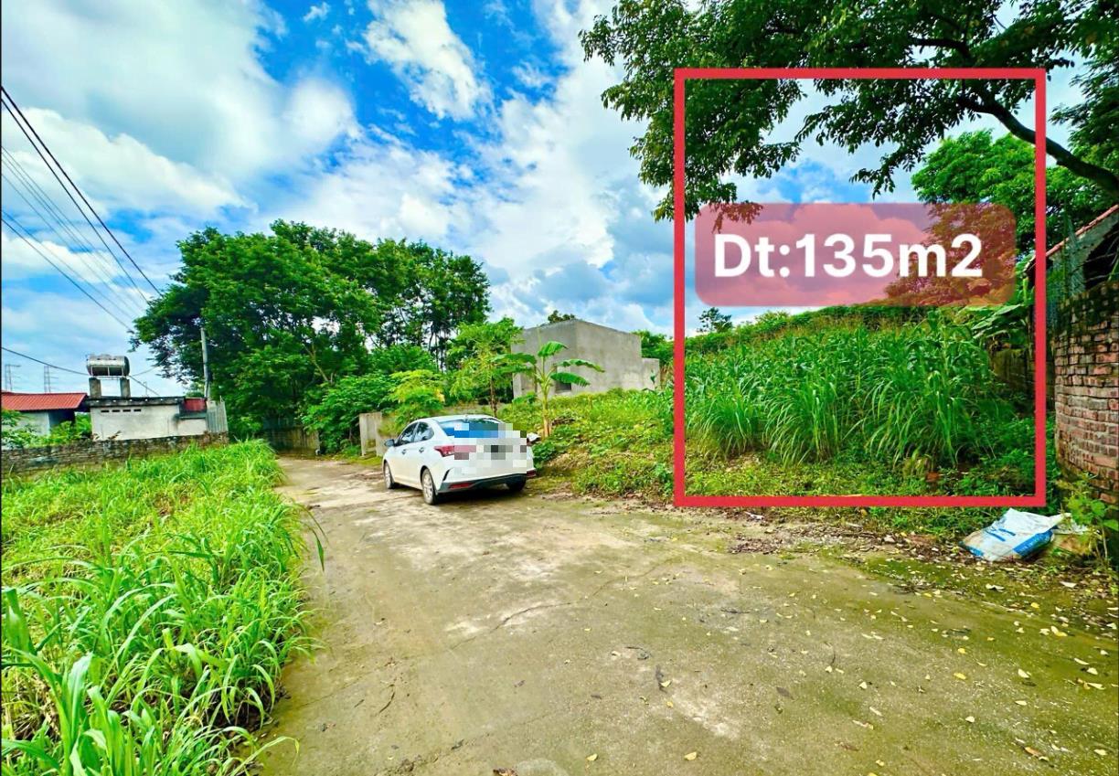 Hình ảnh Bán Lô Đất 135.5m Tại Hoàng Đan Tam Dương Bám Đường Bê Tông Ô Tô Vào Tận Đất Dân Cư Đông Đúc Thân Thiện Gần Chợ Trường Học Ủy Ban Giá Đầu Tư