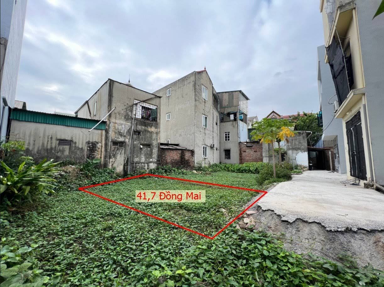 Hình ảnh Bán Đất Đồng Mai Full Thổ Cư Gần Trục Kinh Doanh Ngay Sát Đê Tả Đáy Giá Chỉ Vài Tỷ