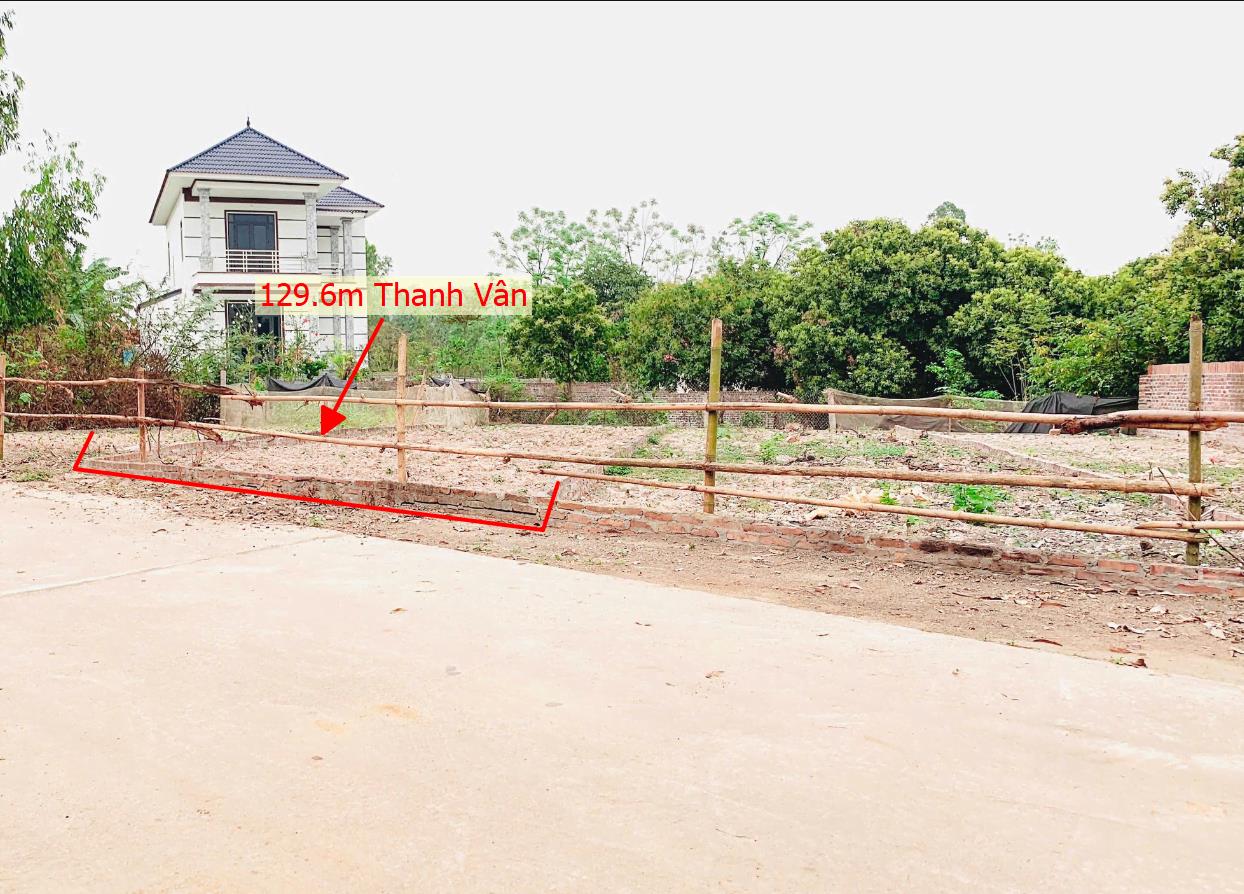 Hình ảnh Bán Lô Đất 129.6m Tại Thanh Vân Tam Dương Bám Đường Bê Tông Ô Tô Vào Tận Đất Dân Cư ĐÔng  Đúc Thân Thiện Sổ Đỏ Pháp Lý Rõ Ràng