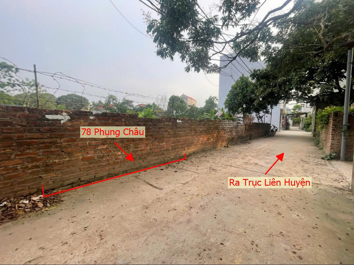 Hình ảnh Bán Đất Full Thổ Cư 78m Tại Phụng Châu Chương Mỹ Ô Tô Đỗ Tận Đất Sát Trục Kinh Doanh Liên Huyện 