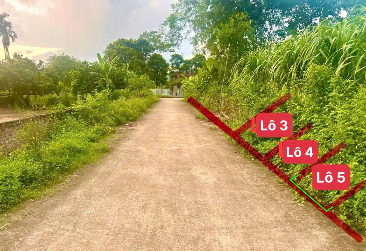 Hình ảnh Bán Lô Đất 110.6m Tại Yên Nghiệp Lạc Sơn Bám Đường Bê Tông Ô Tô Vào Tận Đất Dân Cư Đông Đúc Thân Thiện cách Đường HCm 300m Giá Đầu Tư