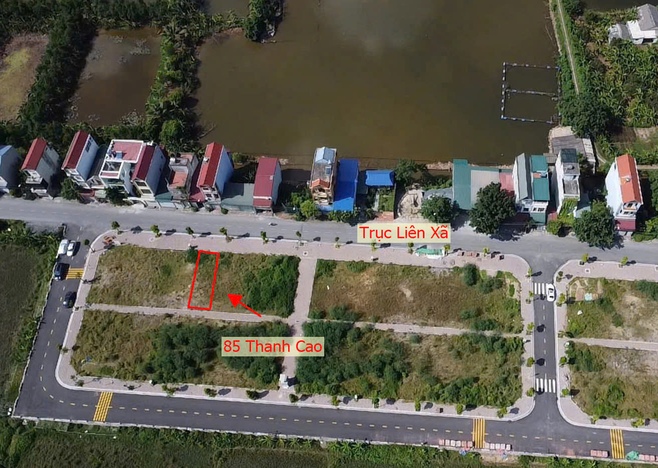 Hình ảnh Bán Đất Đấu Giá Khu Ngõ Ba Xã Thanh Cao Ngay Trung Tâm Hành Chính Xã - Đất Đấu Giá Thanh Oai 