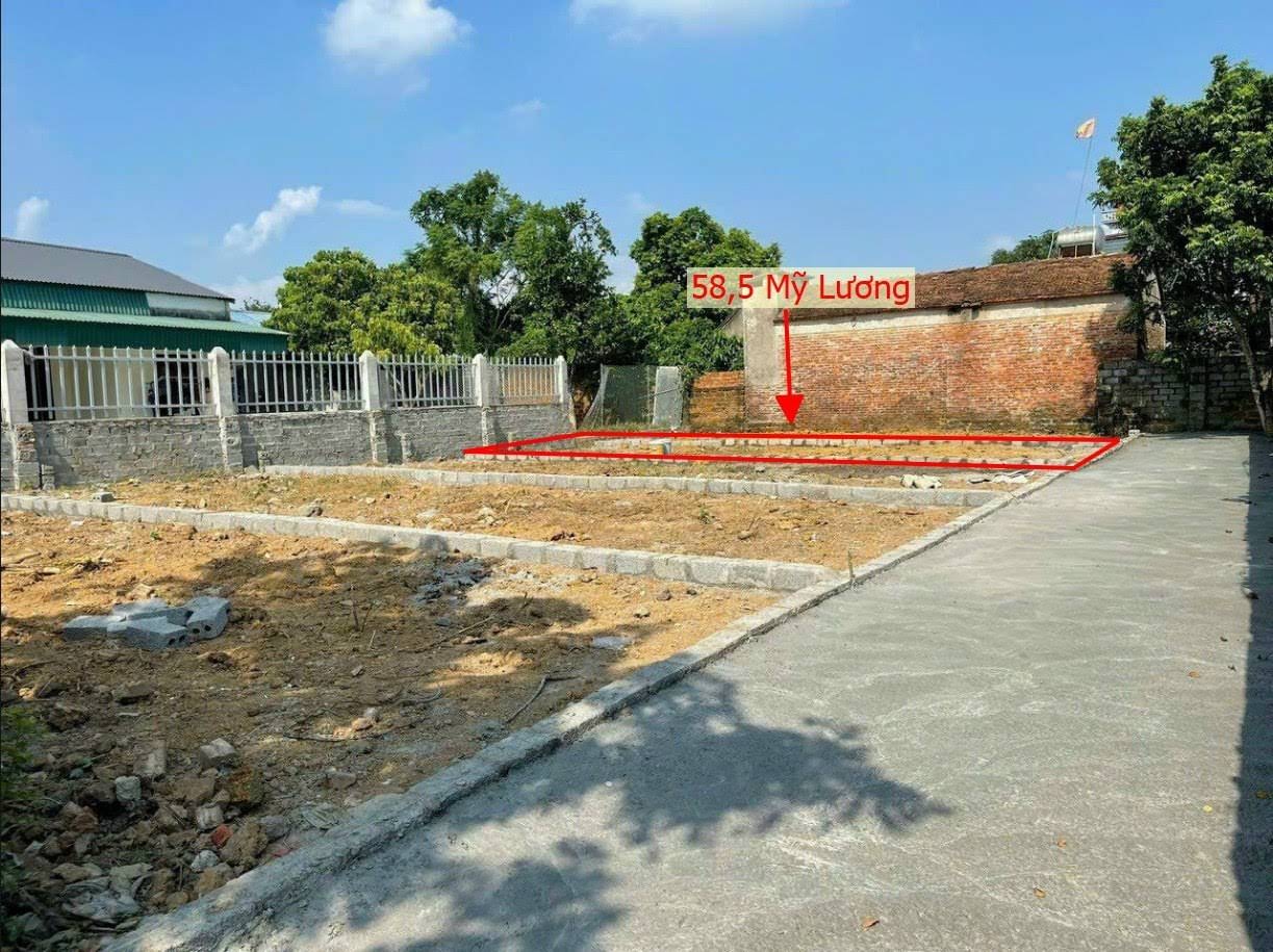 Hình ảnh Bán Đất Phân Lô Mỹ Lương Gần Trục Chính Liên Xã Giá Chỉ Vài Trăm Triệu 