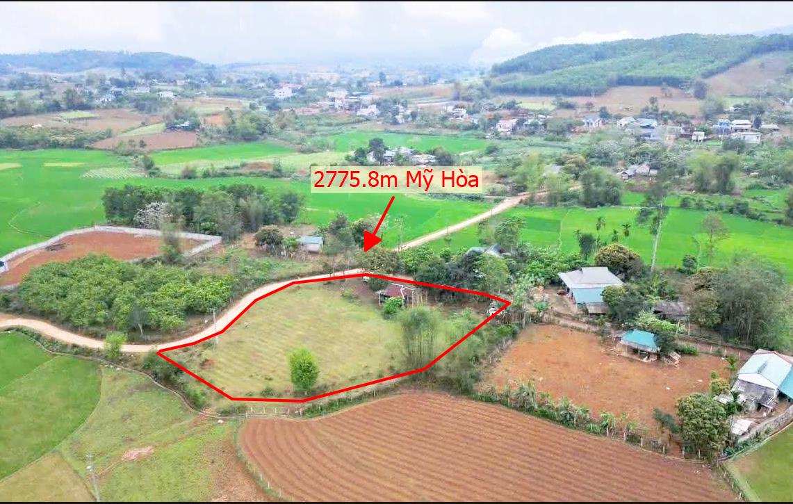 Hình ảnh Bán Lô Đất 2775.8m Tại Mỹ Hòa Tân Lạc Bám Đường Bê Tông Ô Tô Vào Tận Đất Dân Cư Đông Đúc Thân Thiện View Thoáng Mát Giá Đầu Tư