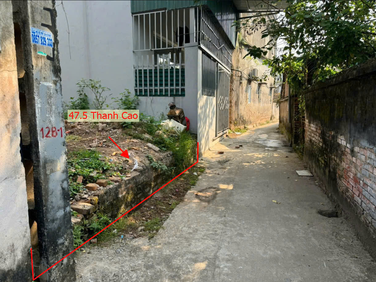 Hình ảnh Bán Đất Full Thổ Cư Tại Thanh Cao Gần Trục Kinh Doanh Liên Xã Giá Nhỉnh Tỷ 